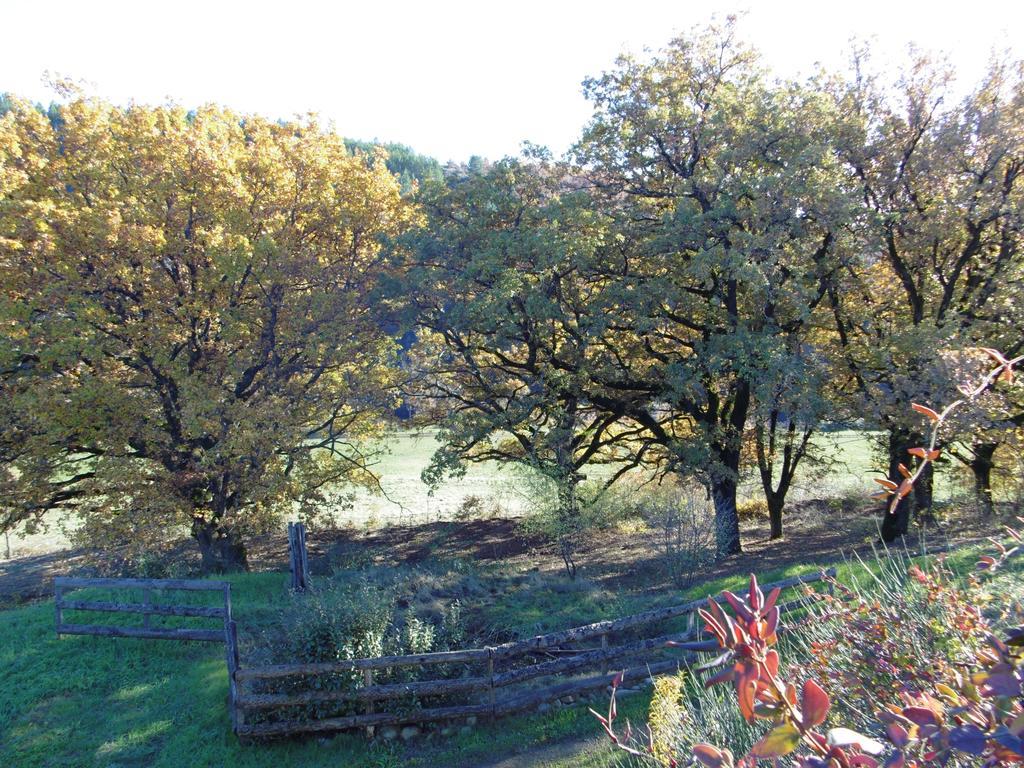 La Ferme De Valauris Bed & Breakfast Sisteron Ngoại thất bức ảnh